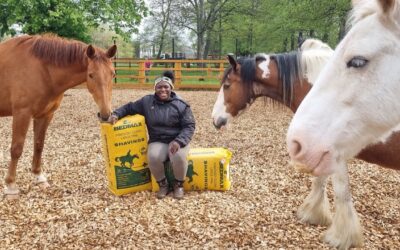 Bedmax gets full marks from Badminton to Brixton