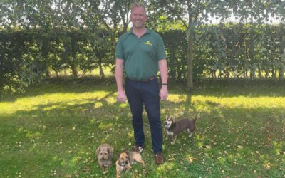 South East Regional Sales Manager Appointment