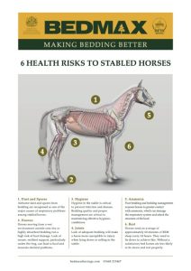 Stable Health Risks