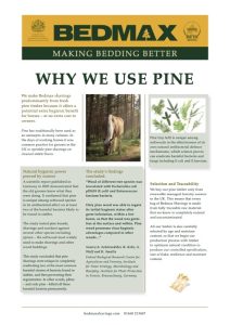 Why We Use Pine