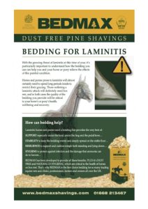 Laminitis