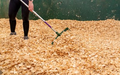 The Best Bedding for Wet Horses